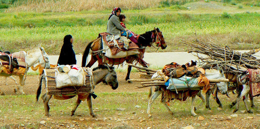 Nomads in Iran